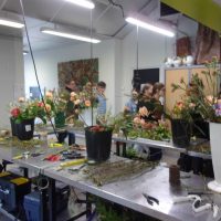 KODAK Digital Still Camera