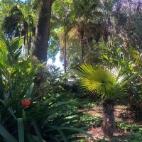 452843458_1203307924225783_5626441611581014058_n