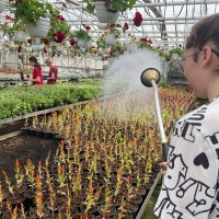 455654575_1208806326915744_6864921937319607327_n