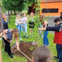 456498428_912089480977982_7665222496311277439_n