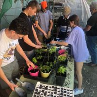 456554734_1078456463881811_882948134088607899_n