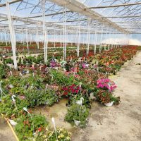 456572118_1693001921490708_7201350282485474196_n