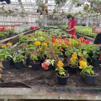 456829616_2665355876985059_2978292997032517374_n