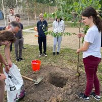 457024433_476954145155024_9057436624316881203_n