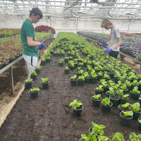 457234618_1737230497015195_9194214719595623581_n