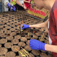 457339890_1870370556789531_7643760546331296096_n