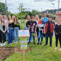 457427410_518348200679004_7936036034344760231_n